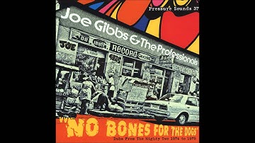 Informer Version - Joe Gibbs & The Professionals