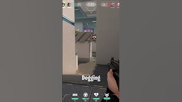 How to Properly Use Skye