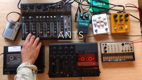 ANTS. Tape Loop Soundscape. Fostex X-15. Marantz. Volca Keys. Enzo Maris. Sony VOR. Keeley Caverns.