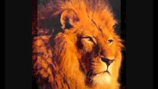 fear no foe - lioncub