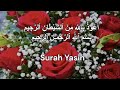 Surah Yasin