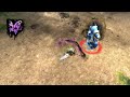 Middle of video
