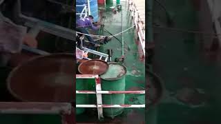 Big Python catch on the Ship in Malaysia Net Worth