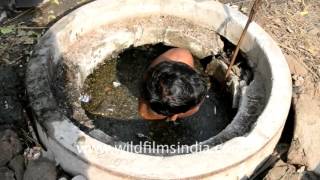 The dirty job of a sewage diver!