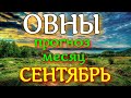 ГОРОСКОП ОВНЫ СЕНТЯБРЬ МЕСЯЦ. 2022 ГОД