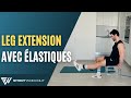 écarteur de jambe | Barre d'entraînement | Machine d'étirement et d'étirement