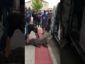 Apprehensive Alligator Takes Time Getting Into Van image