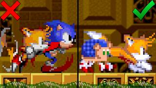 Sonic And Tails As Real Animals