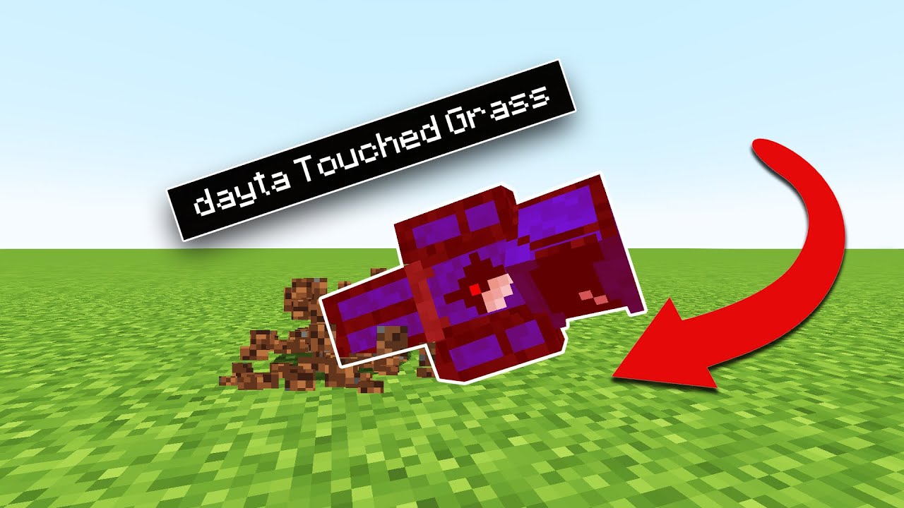 Minecraft, но если я коснусь травы, видео закончится...