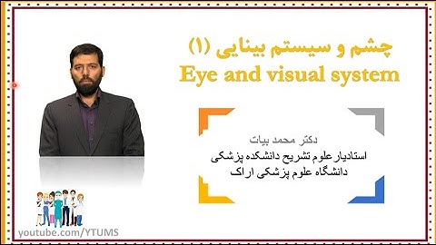 جلسه یازدهم (1) : آناتومی چشم و سیستم بینایی | آموزش جامع آناتومی عمومی | دکتر بیات