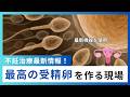 【不妊治療】妊娠の可能性を上げるための最新の設備とは