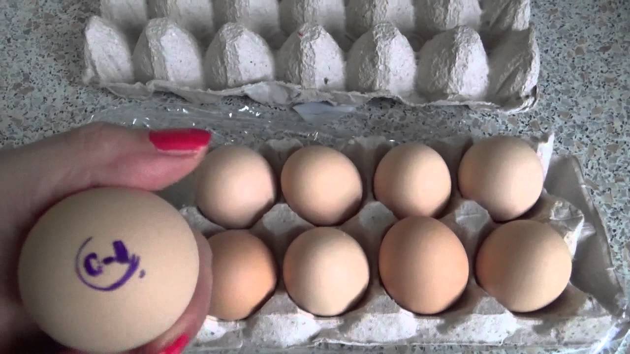 Кремовые яйца. Яйцо Свердловское. Яйца Свердловской птицефабрики. Яйца куриные магнит. Яйцо куриное Свердловское.