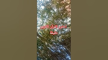 احترم القرآن الكريم دقيقة #اكسبلور #قرآن #المصحف #لايك