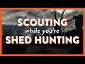 Why Shed Season Is The Perfect Time To Scout Out Of State Hunting Properties