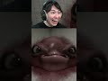 謎の生物に餌やり #horrorgame #blob #ゲーム実況 #ホラーゲーム #ブロブ