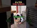 チップって大事w
