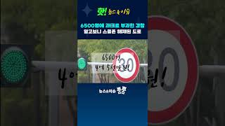 스쿨존 해제된 도로 속도위반 단속해 6500명에 과태료 부과 #shorts