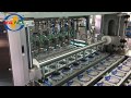 Seal Pack Filling And Sealing Machine 自動充填與封口機 - 捷輝機械