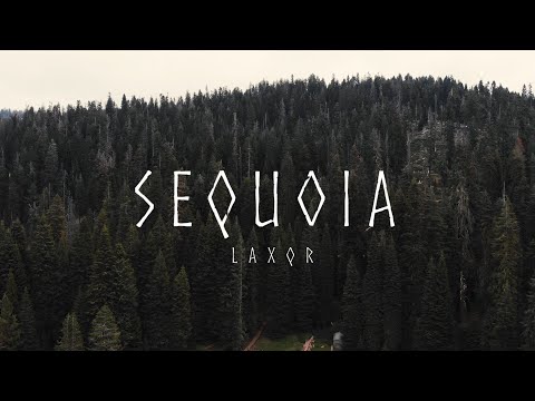 SEQUOIA - Exploring the Forest of Giants