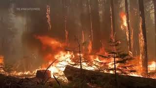 Park Fire in California reawakens and burns more land