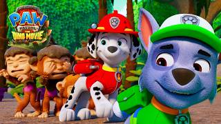 coconut catapult goes wild paw patrol compilation