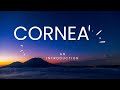Cornea Basics | Clinical Features of Corneal Diseases