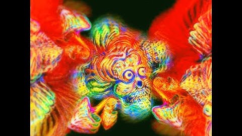 BLAARST - REIGN OF ERROR (180-190bpm Hi-Tech)