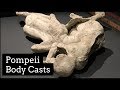 Pompeii Body Casts