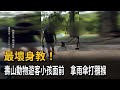 最壞身教！ 壽山動物遊客小孩面前 拿雨傘打獼猴－民視新聞