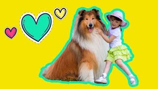 Собачье Шоу на Поляне Сказок ★ Игровая зона для детей ★ Детские развлечения Собачье Шоу на Поляне Сказок ★ Игровая зона для детей ★ Детские развлечения