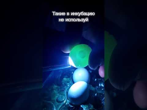 Поэтому всегда осматриваю