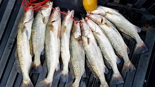 Speckled Trout Action Off Galveston Rock Jetty (Galveston Texas Fishing) 6.30.19