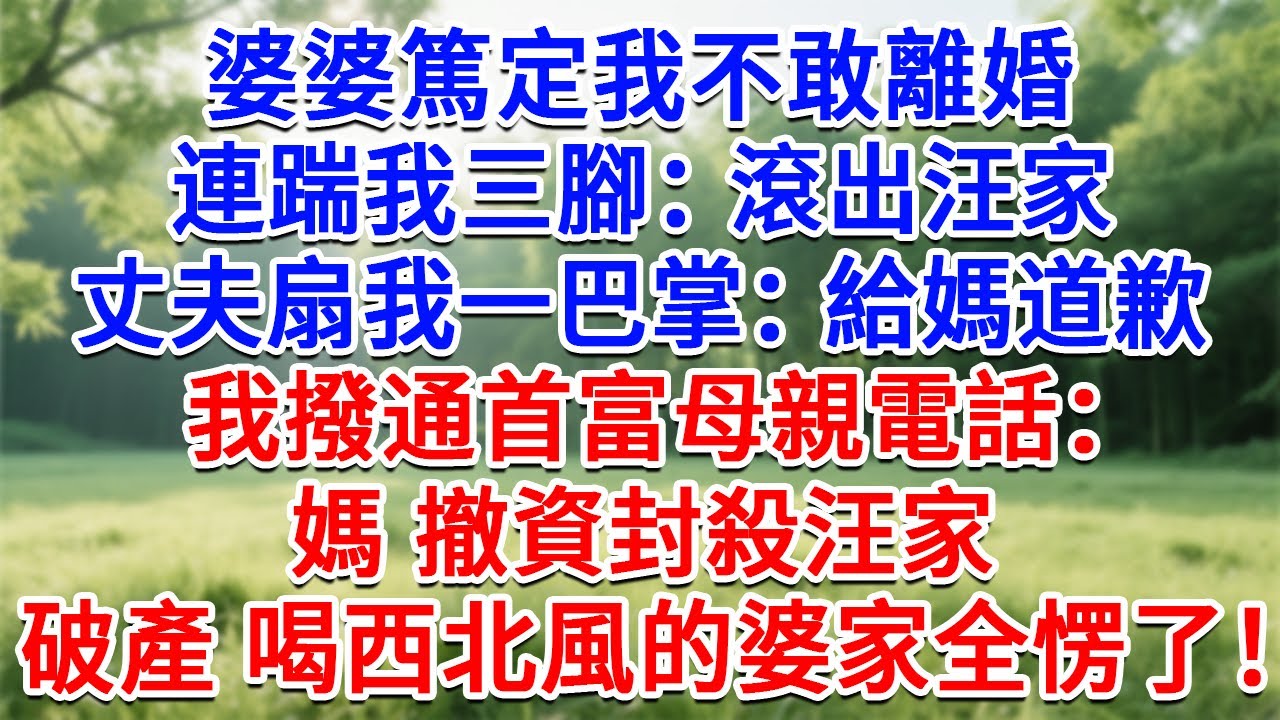 婆婆篤定我不敢離婚，連踹我三腳：滾出汪家！丈夫扇我一巴掌：給媽道歉！出門後我撥通首富母親電話：媽 撤資封殺汪家！隔天破產喝西北風的婆家全愣住了！#生活經驗#情感故事#故事#小說#戀愛#情感#婚姻