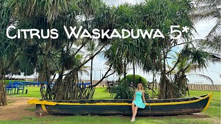 Citrus Waskaduwa 5* Шри-Ланка 2023 - стоит ли ехать, за и против