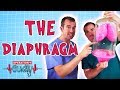 Operation Ouch - The Diaphragm | Science for Kids