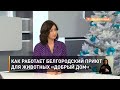 Как работает белгородский приют для животных «Добрый дом»