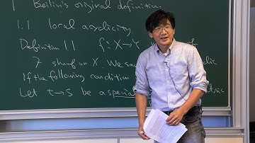 Takeshi Saito - 1/4 Singular Supports in Equal and Mixed Characteristics