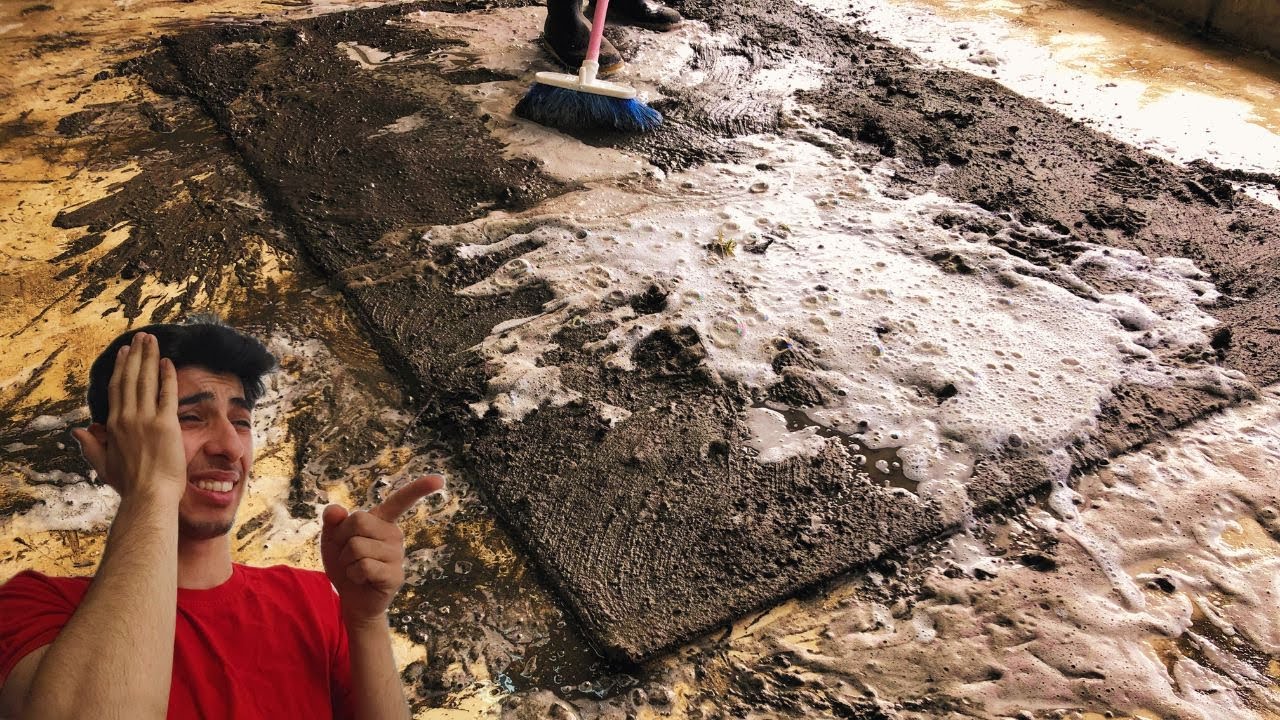 Чистка самого странного ковра, который был грязным и грязным😨 | АСМР | смешно 🤣🤣