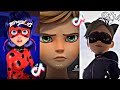 Miraculous Tiktoks that made Miraculous an adult show