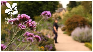 Step into a plantsman’s paradise at Rowallane Garden, a National Trust place in County Down