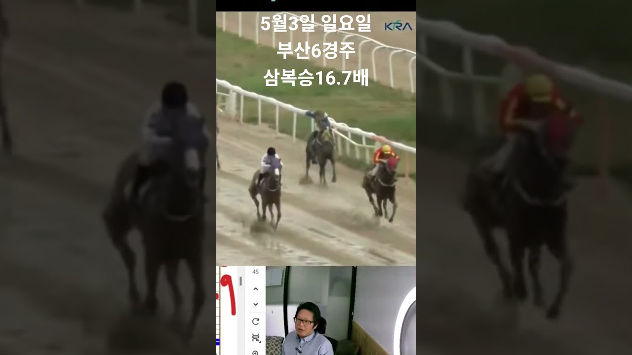 5월3일 일요일 부산6경주 삼복승 16.7배 적중
