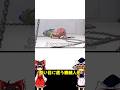 【ゆっくり解説】酷い目に遭う機械人形
