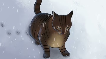 Snow Cat (My First Procreate Dreams Animation)