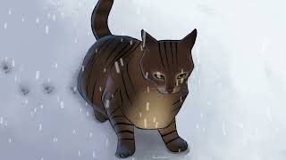 Snow Cat (My First Procreate Dreams Animation)