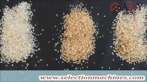 Plastic color sorting machine - www.selectionmachines.com