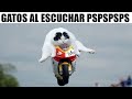 MEMES DE PERRITOS Y GATITOS #9