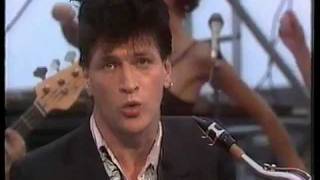 Herman Brood & his Wild Romance: \