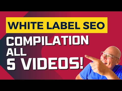 local seo services for small business