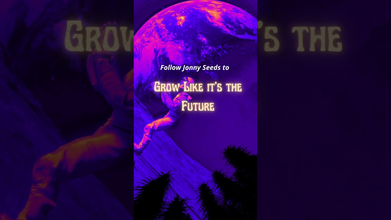 What homegrowers of the future should know before buying