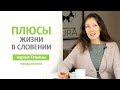 О жизни в Словении. Плюсы по версии Татьяны / Часть 2